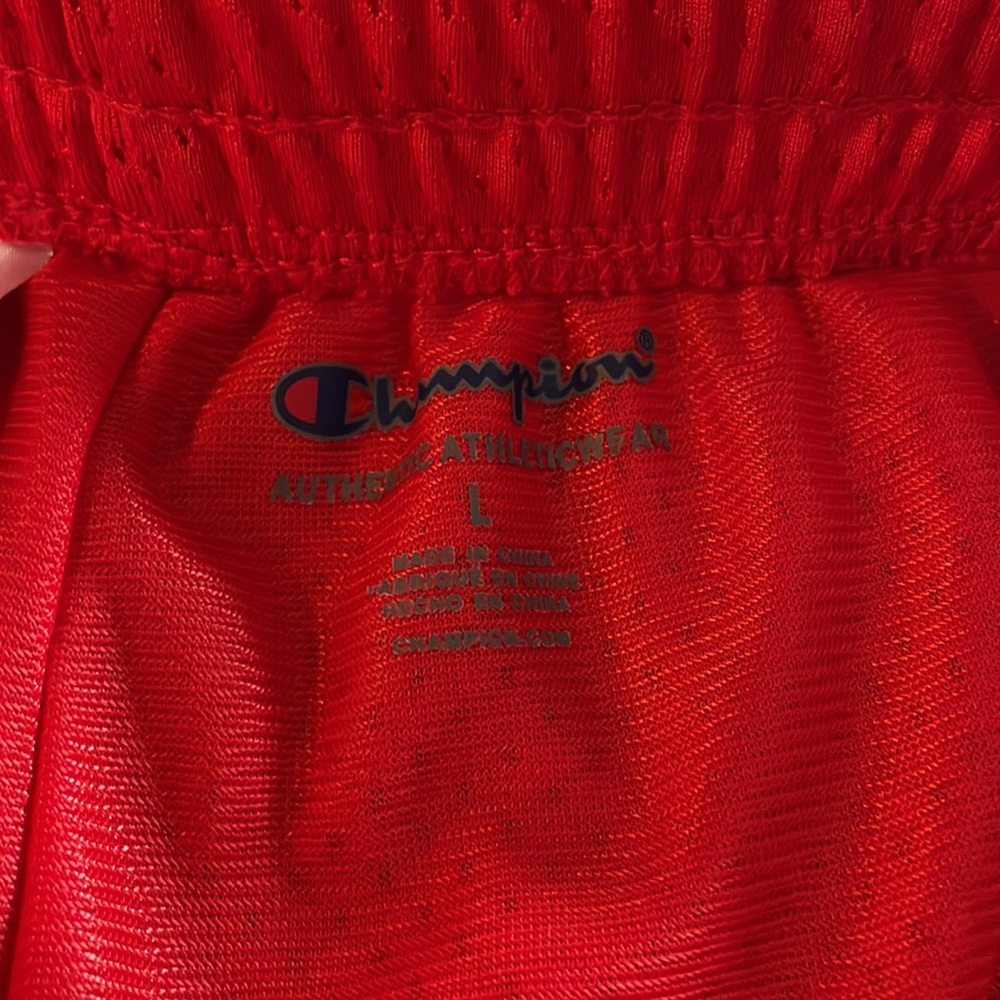 Champion outfit - Picture 4 of 8